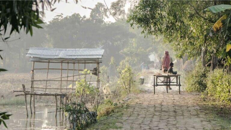 Jamespur – Sunderban’s Unexplored Beauty