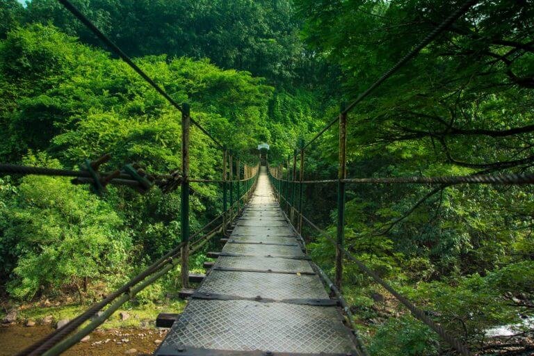 A Walk Through The Heavens – Landscapes