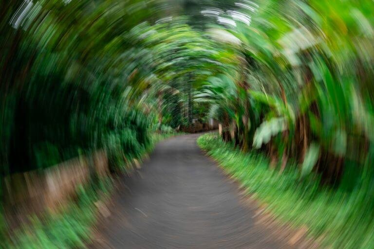 Best 8 Circle Photography tricks applied