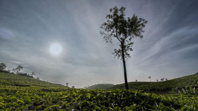 Serenity – Landscape Photography