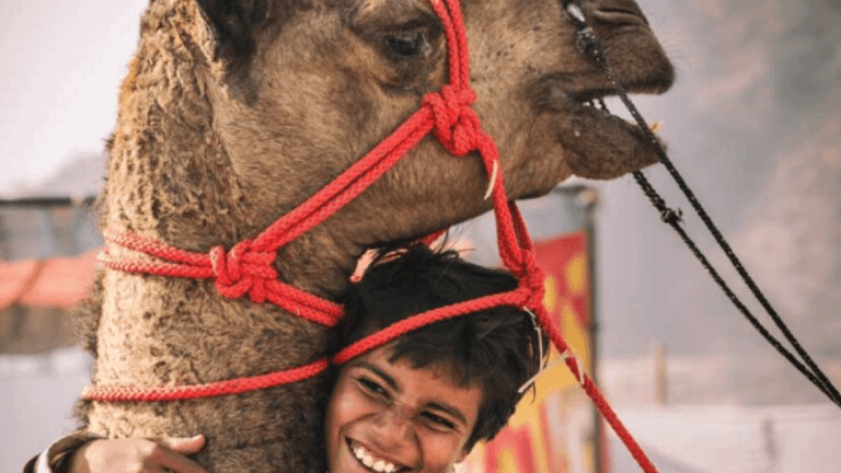 the artist treasury by madhusudhan kv bangalore