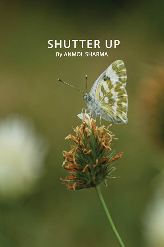 Shutter up by anmol sharma himachal pradesh