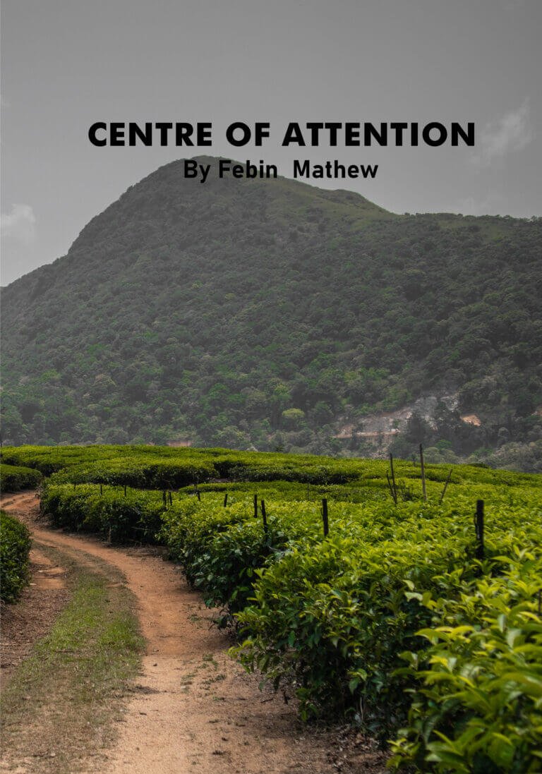 Centre of Attention by Febin Mathew