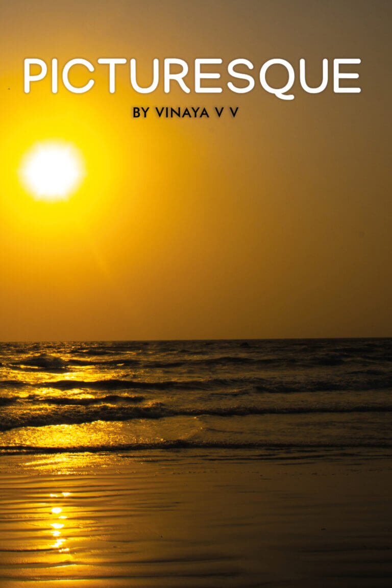 picturesque by vinaya vv