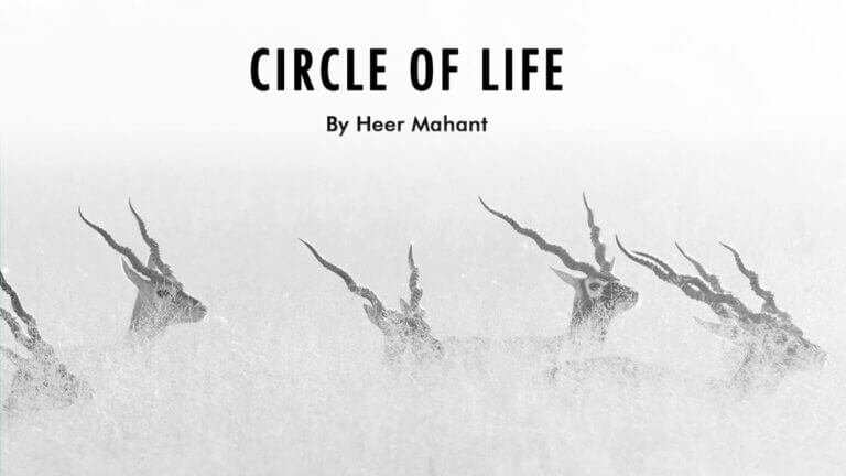circle of life by heer mahant mumbai