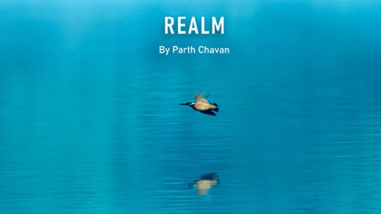 Realm by Parth Chavan