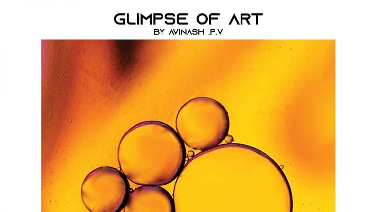 glimpse of art avinash pv front cover copy