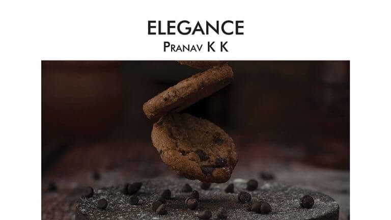 pranavkk ernakulam kerala elegance photographyportfolio