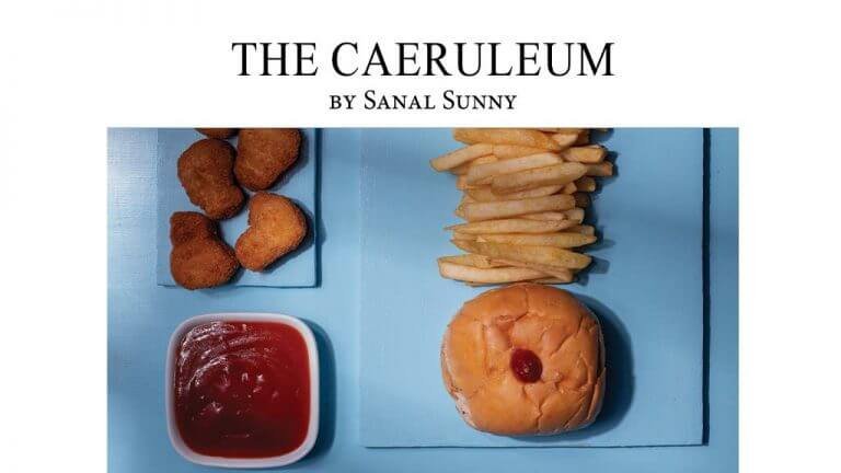 sanal sunny thirssur kerala the caeruleum