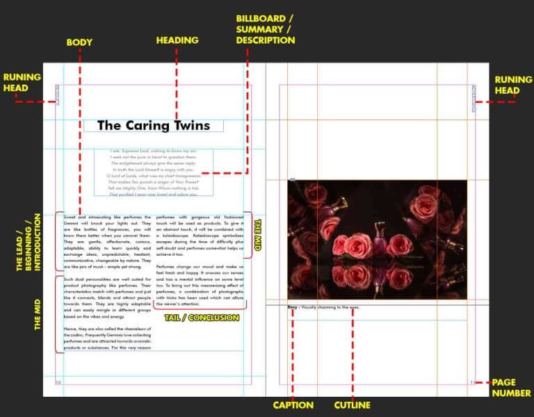 How to make Portfolio?