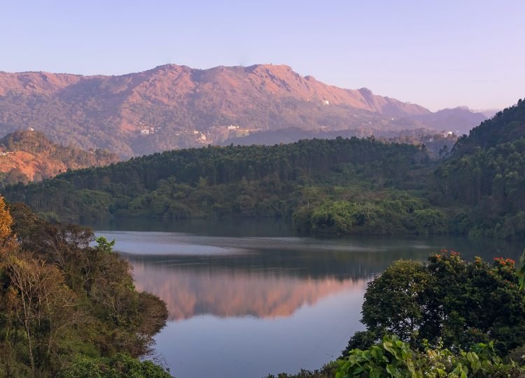 Mirror for Nature