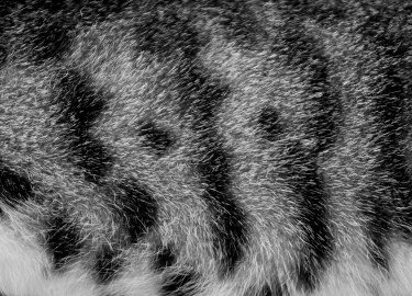 Textures