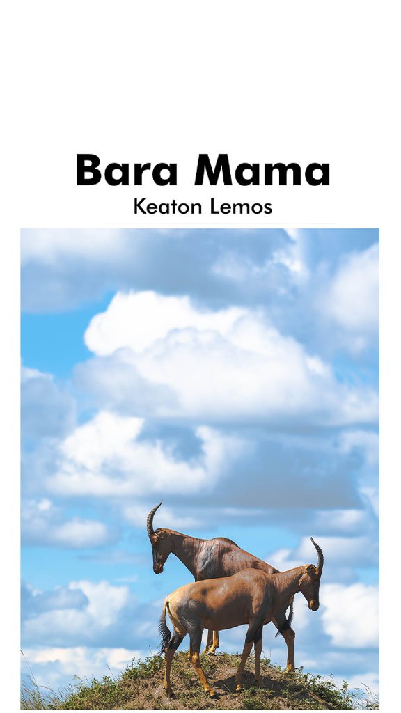 Bara Mama By Keaton Lemos