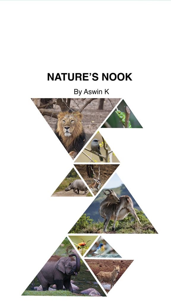 Nature’s Nook by Aswin K