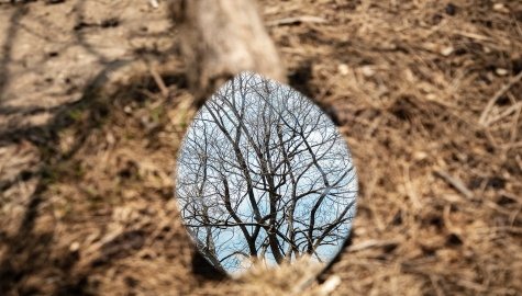 Naturistic Frames