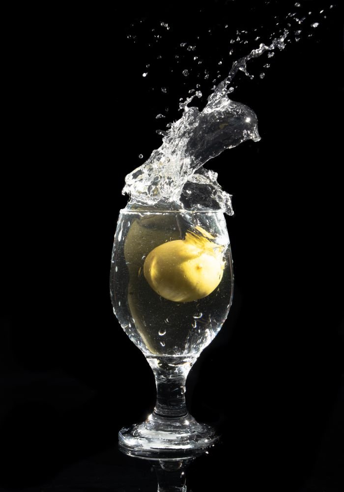 dolphin in wine glass