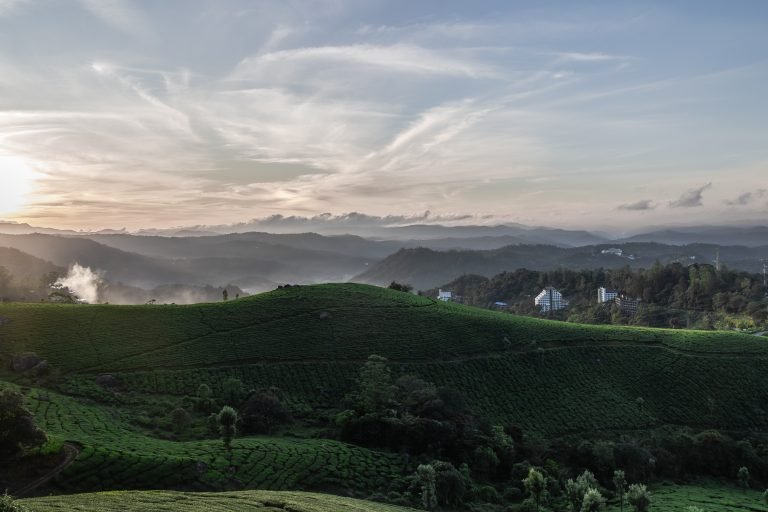 Foggy Valleys