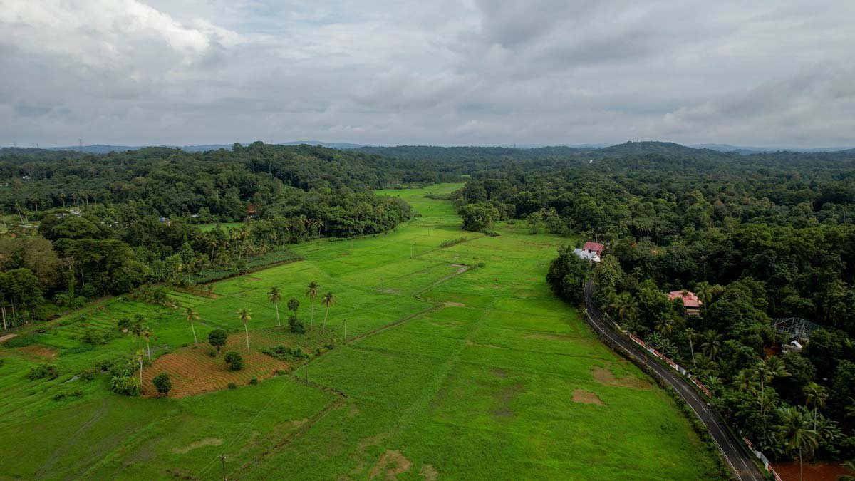 paddyfield-manal-mattakkara