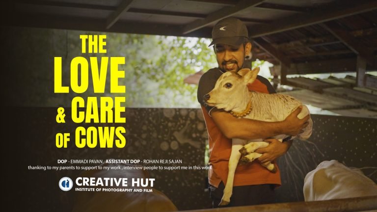 The love and care of cows.