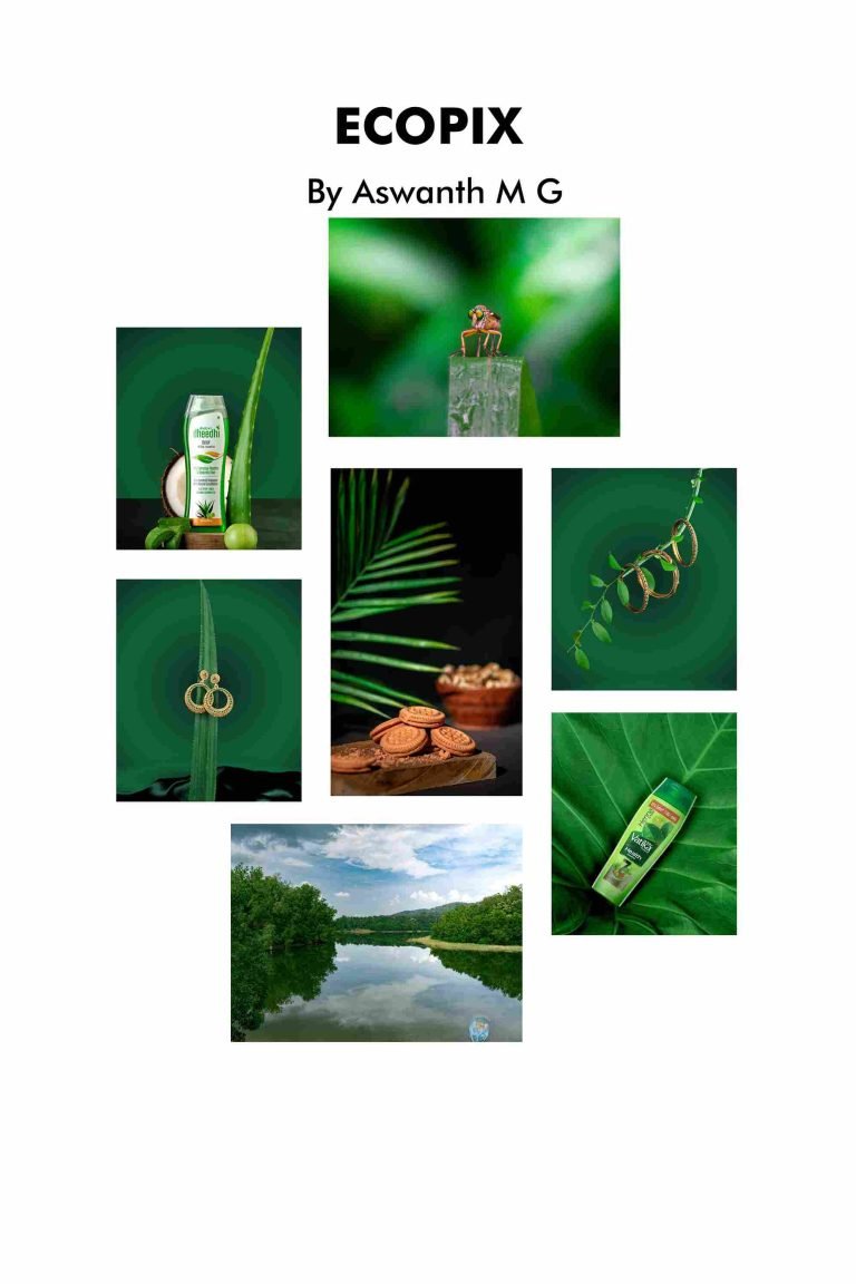 Ecopix