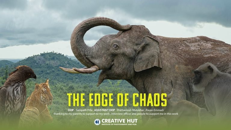Edge of Chaos