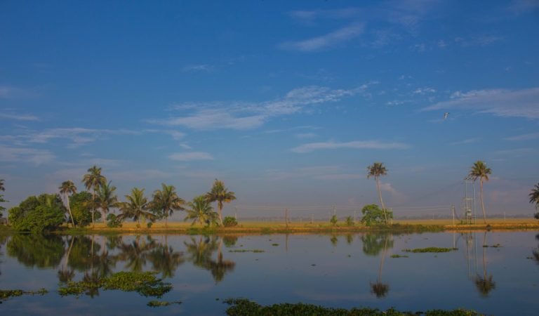 Life is like a landscape