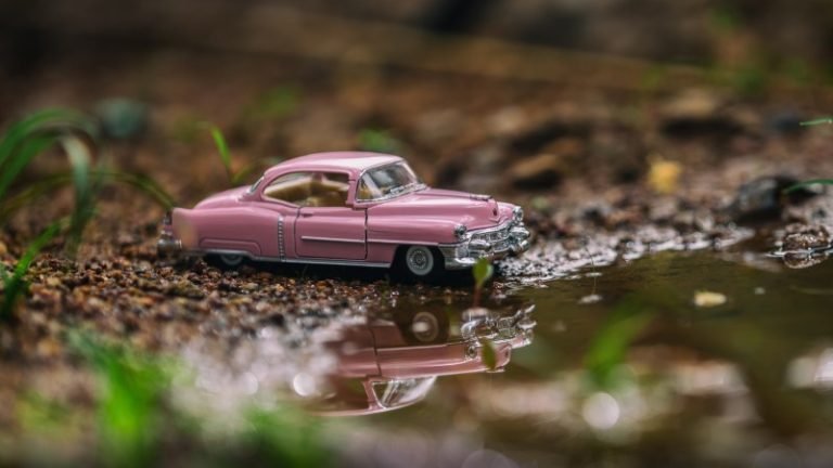 Mystery of Mini Creature
