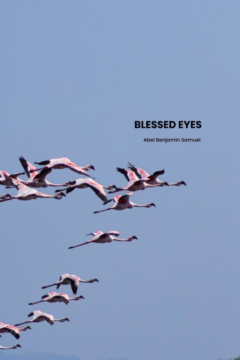Blessed Eyes