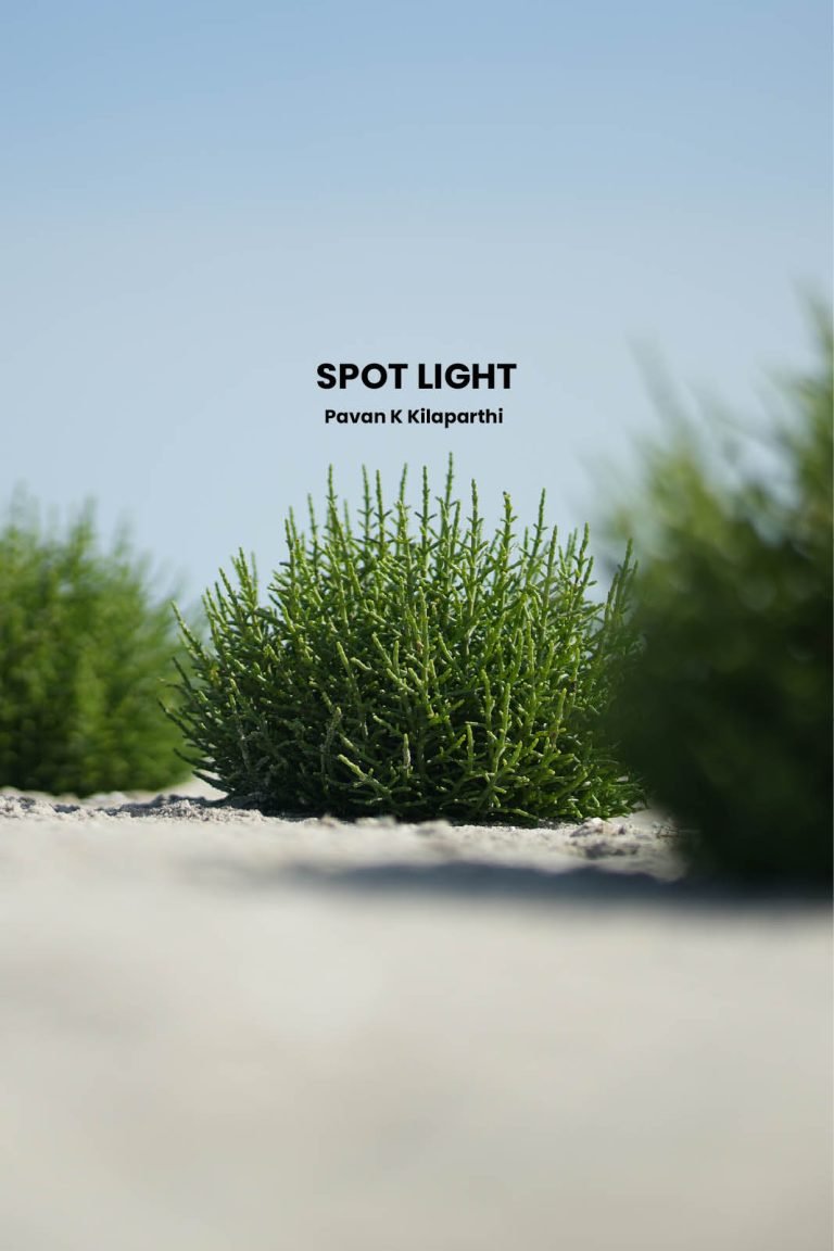 Spot Light