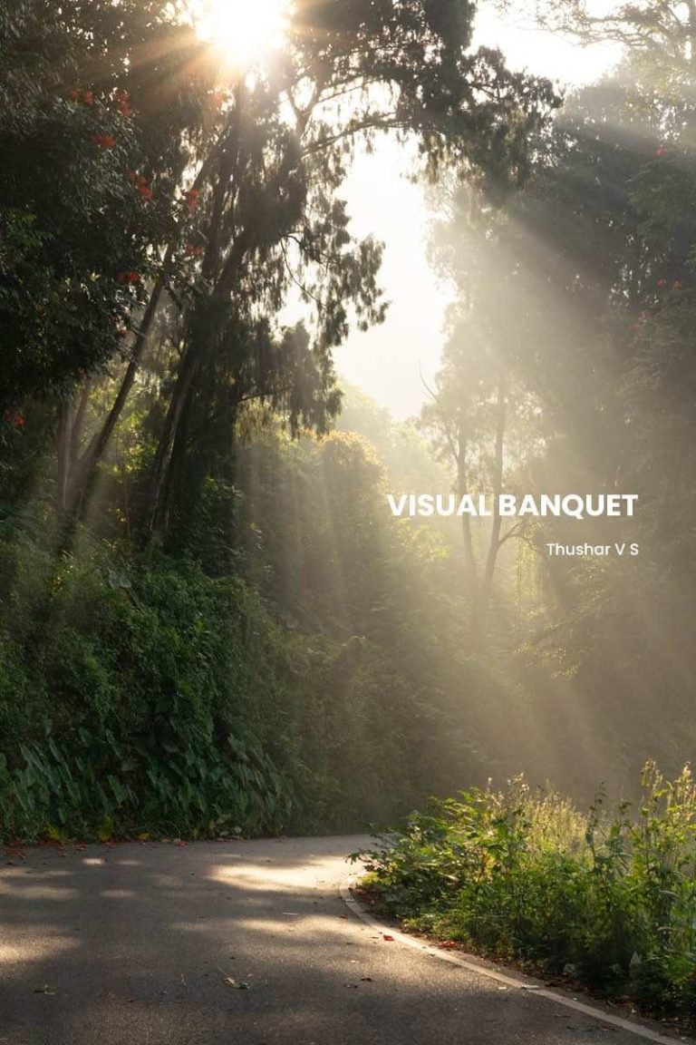Visual banquet photography portfolio