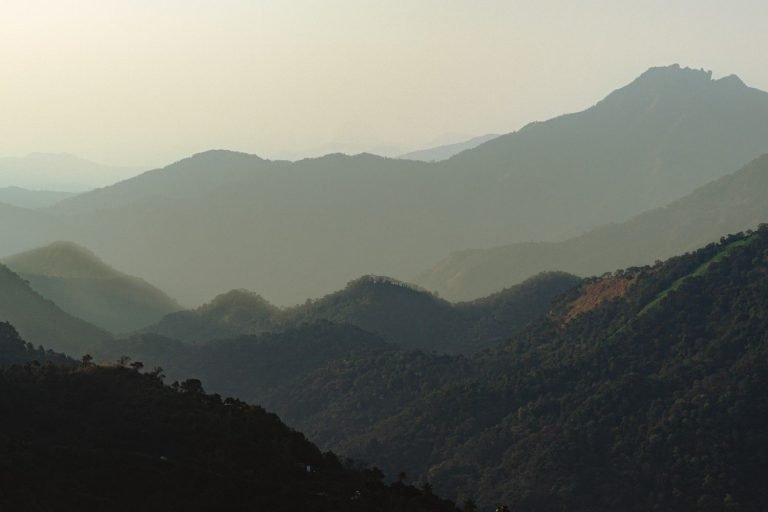 Elevated Horizons