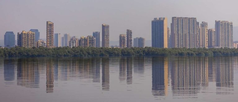 River reverie beauty of the future