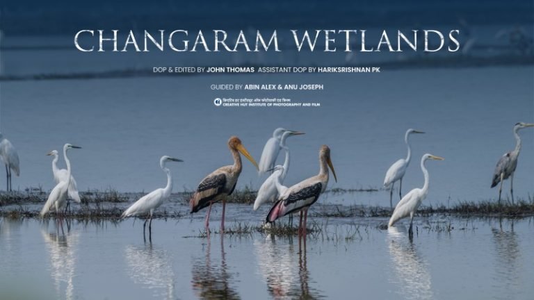 Changaram Wetlands